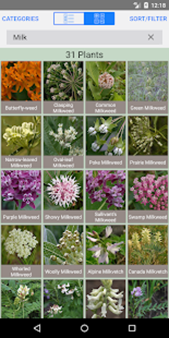 Image 1 for Minnesota Wildflowers Inf…