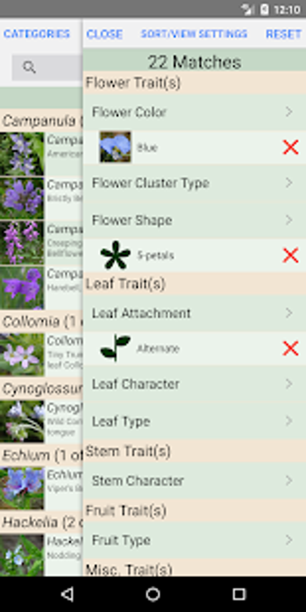Image 3 for Minnesota Wildflowers Inf…