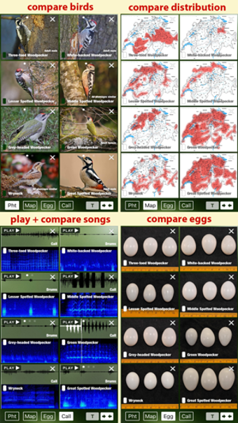 Image 0 for Birds of Switzerland - a …