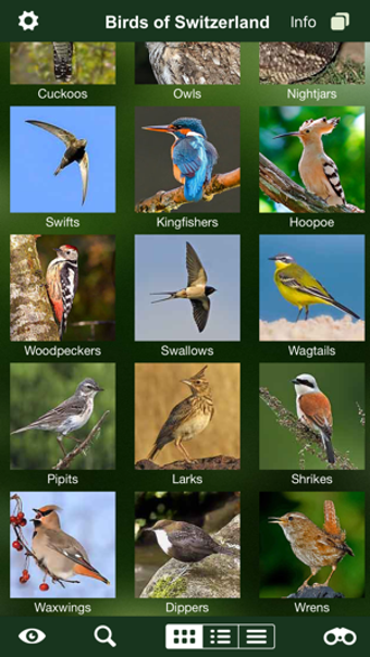 Image 3 for Birds of Switzerland - a …