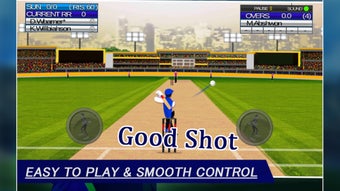 Image 3 for IPL Cricket Craze 3D