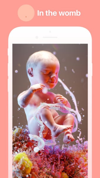 Image 0 for Hello Belly: Pregnancy Tr…