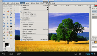 Image 2 for XGimp Image Editor
