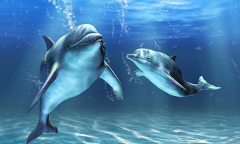 Imagen 2 para Dolphins Live Wallpaper