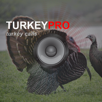 Image 2 for Turkey Calls - Turkey Sou…