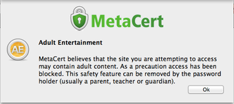 Imagen 1 para MetaSurf