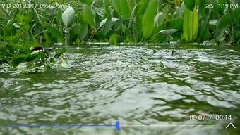 Imagen 1 para Ax-Lite Video Player for …