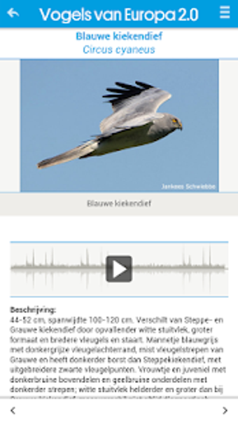 Imagen 2 para Vogels van Europa