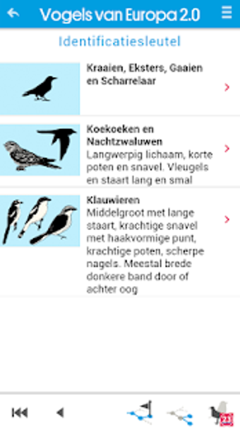 Imagen 3 para Vogels van Europa