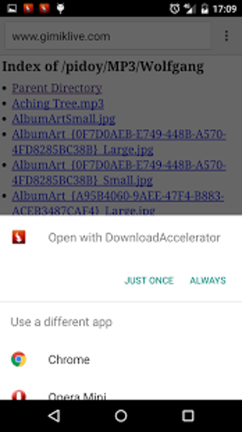 Imagen 2 para Download Manager Accelera…