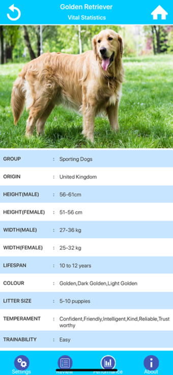 Image 3 for Dog Breeds Guide & Quiz