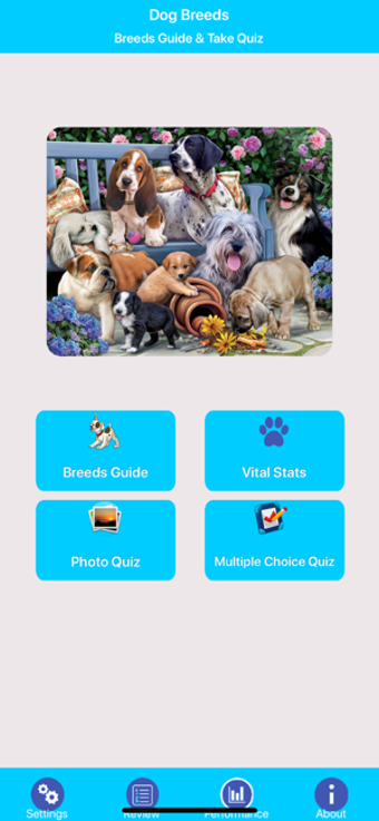 Image 1 for Dog Breeds Guide & Quiz