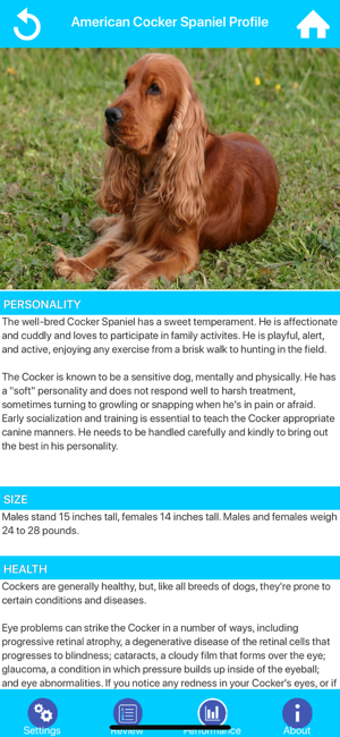 Image 2 for Dog Breeds Guide & Quiz