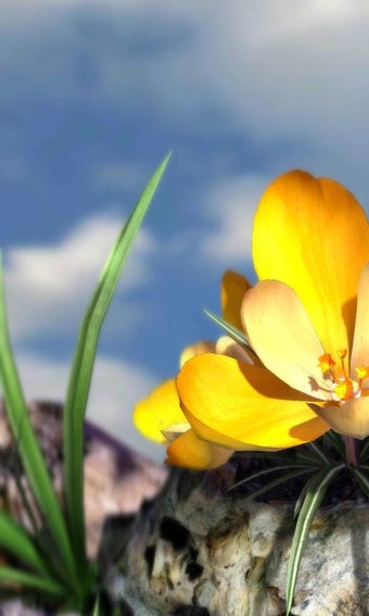 Imagen 1 para Nature Live Spring Flower…