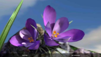 Imagen 2 para Nature Live Spring Flower…