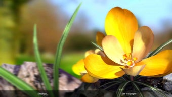 Imagen 3 para Nature Live Spring Flower…