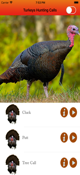 Imagen 2 para Turkey Hunting Calls -