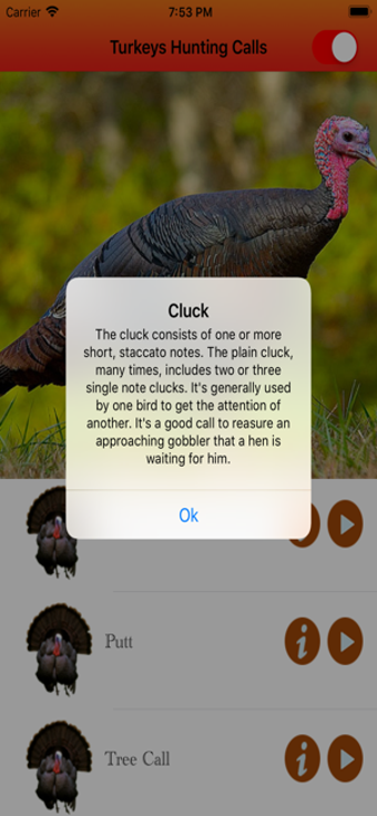 Imagen 3 para Turkey Hunting Calls -