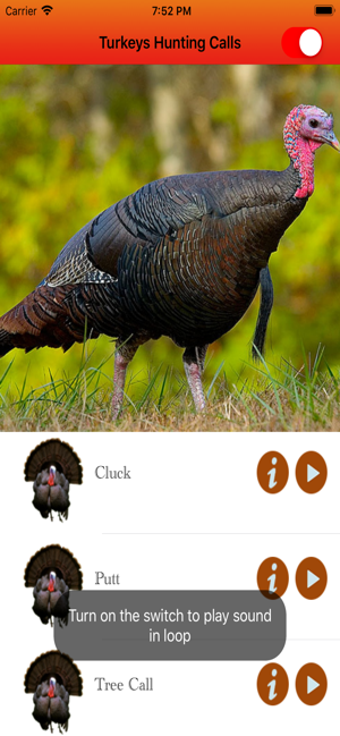 Imagen 1 para Turkey Hunting Calls -