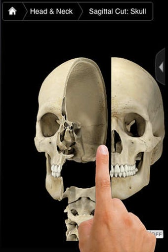 Image 0 for Skeleton System Pro III -…