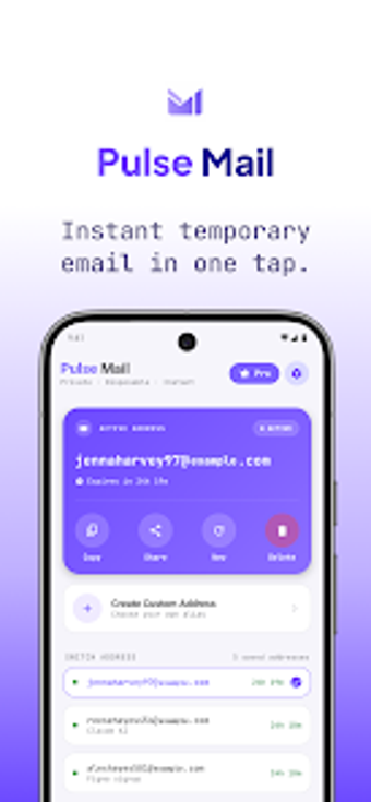 Image 0 for Pulse Mail - Temporary Em…