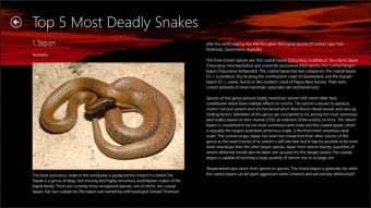 Image 0 for Most Deadly Snakes