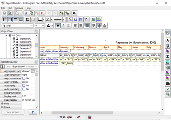 Image 0 for Reportizer