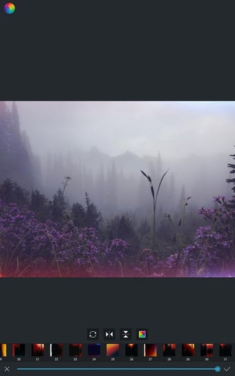 Image 4 for Afterlight