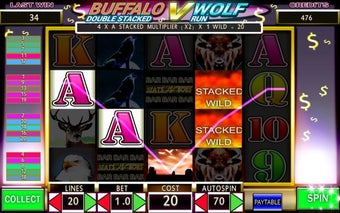 Image 0 for Wolf V Buffalo Run WILD S…