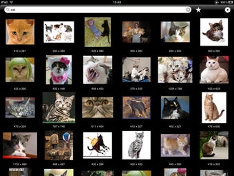 Imagen 0 para Image Hunter - searching …