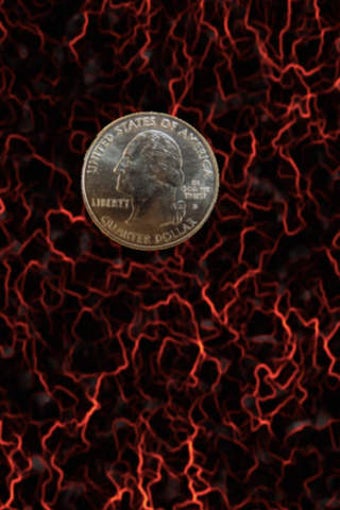 Image 0 for Marty's Magic Coin Free