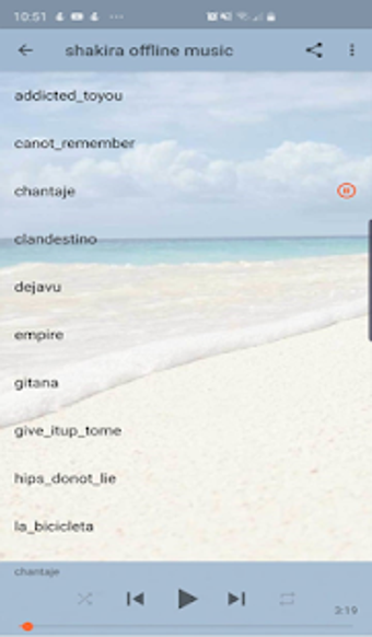 Imagen 0 para Shakira Best Offline Musi…