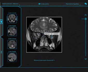 Image 2 for Atlas de Anatomia Radiolg…