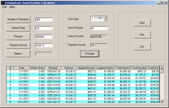 Image 0 for Intelephant Amortization …