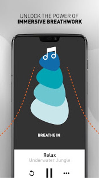 Imagen 2 para Silentmode