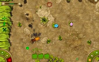 Image 1 for Ant Queen