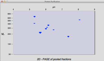 Image 1 for Protein Purification