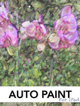 Image 0 for Auto Paint For iPad