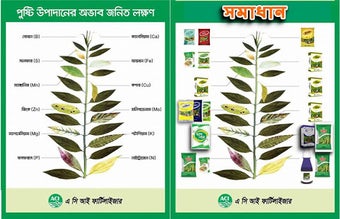 Image 0 for ACI Fertilizer