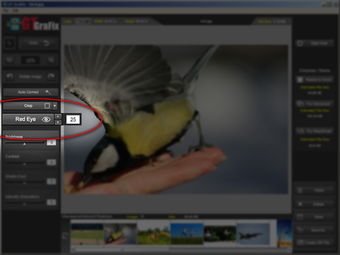 Image 4 for GTGrafix