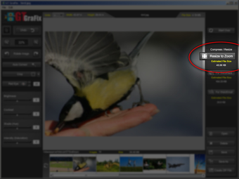Image 4 for GTGrafix