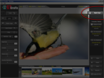 Image 0 for GTGrafix