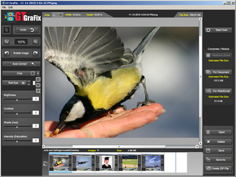 Image 9 for GTGrafix