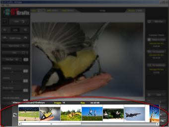 Image 0 for GTGrafix
