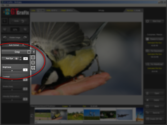 Image 7 for GTGrafix