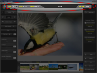 Image 1 for GTGrafix
