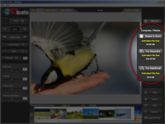 Image 7 for GTGrafix