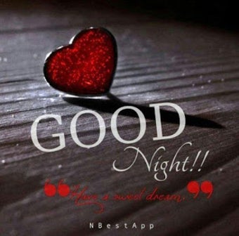 Imagen 2 para Good Night Flowers Images…