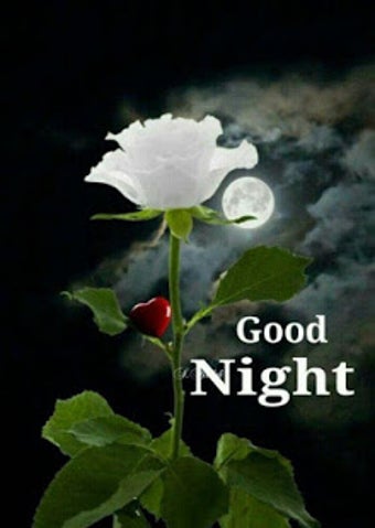 Imagen 3 para Good Night Flowers Images…