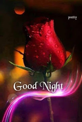 Imagen 1 para Good Night Flowers Images…
